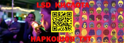 ГАЛЛЮЦИНОГЕННЫЕ ГРИБЫ Заволжье