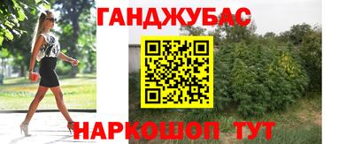 скорость Заводоуковск