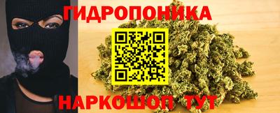 ГАЛЛЮЦИНОГЕННЫЕ ГРИБЫ Заволжье