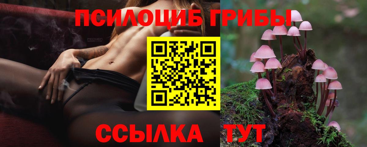Магадан  Галлюциногенные грибы MAGIC MUSHROOMS  Вход с VPN 